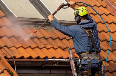 Démoussage et hydrofuge de toiture à Burgy